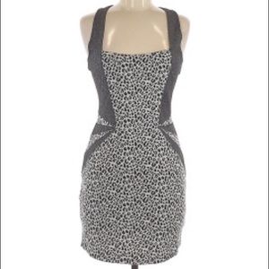 Silence and Noise Animal Print Cocktail Dress
